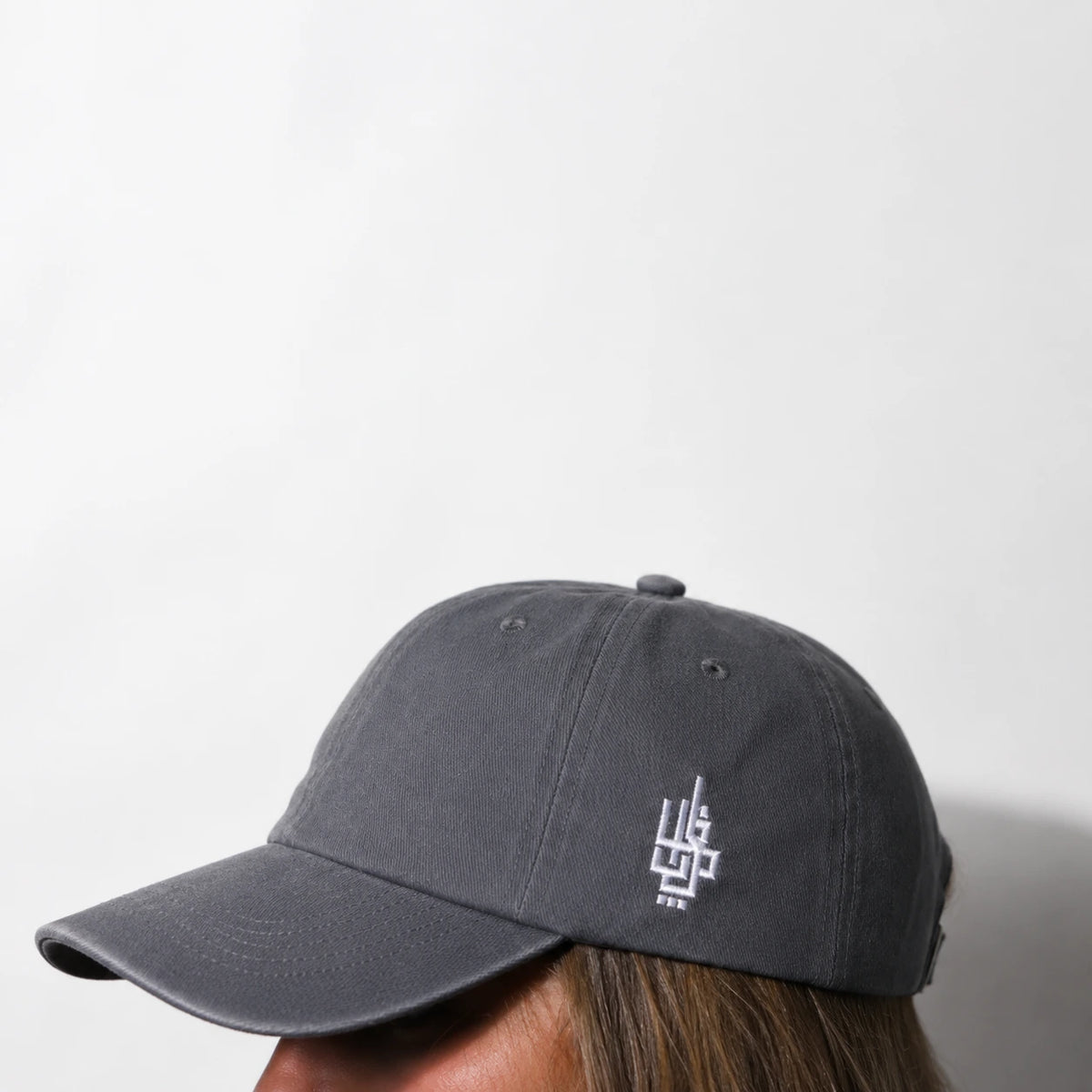 Acid Grey on the Side Logo